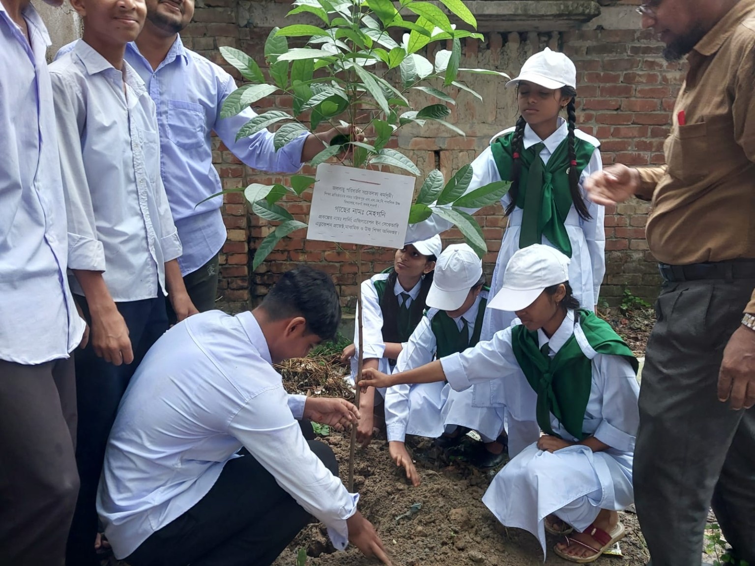 বৃক্ষ রোপণ কর্মসূচি